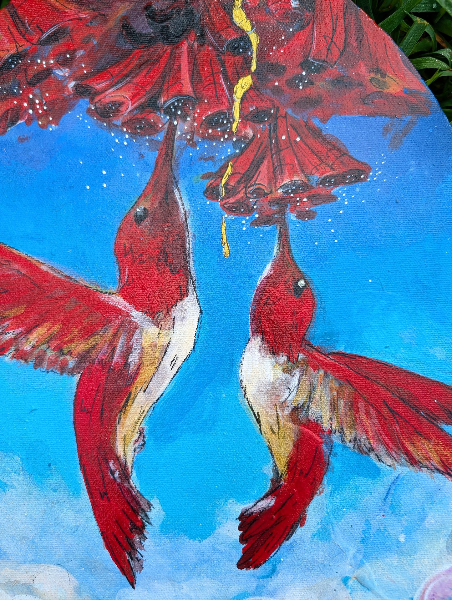 Dance of the Hummingbirds