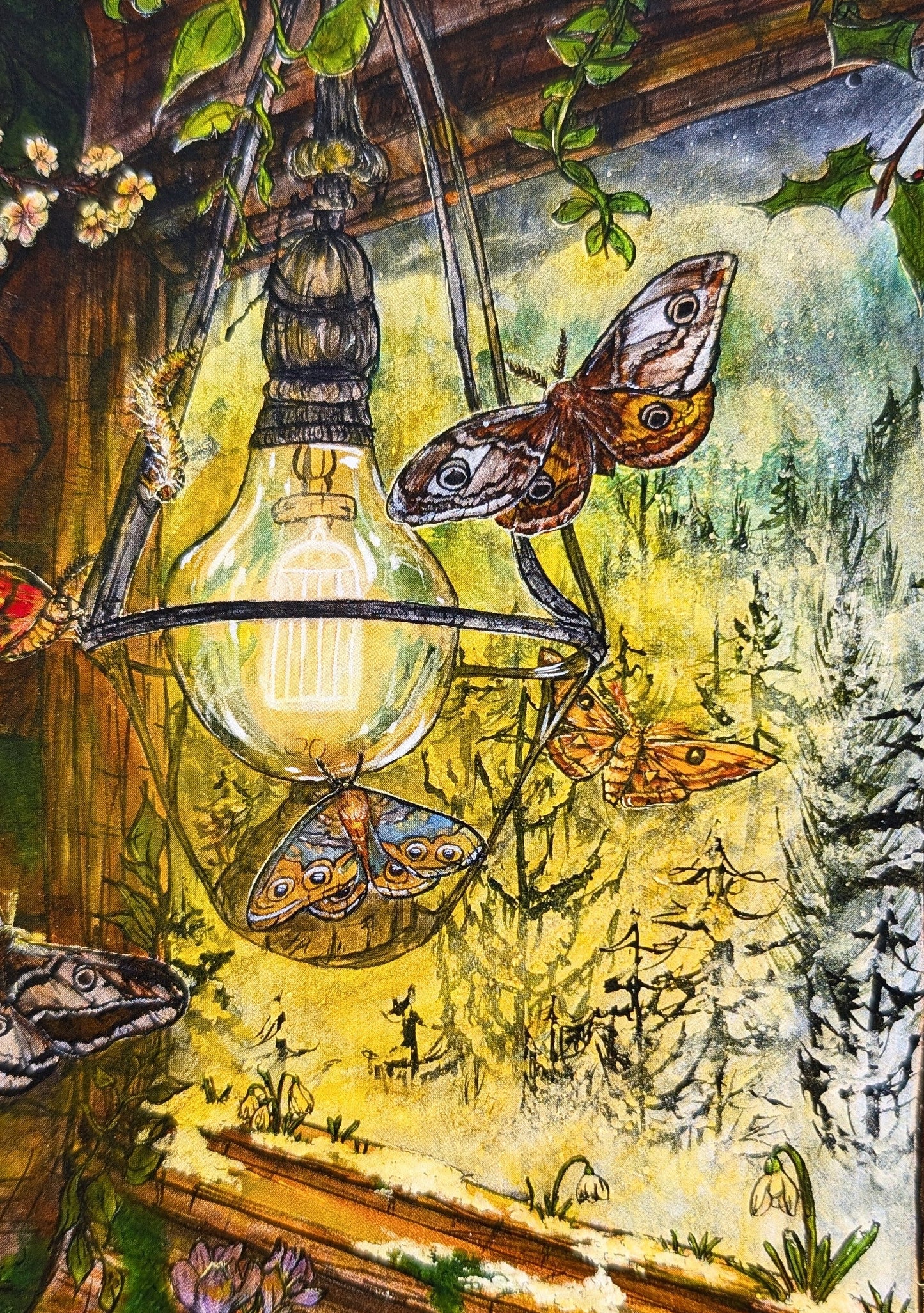 Hibernation Postcard Print