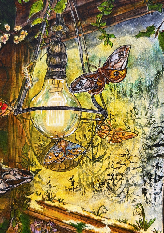 Hibernation Postcard Print