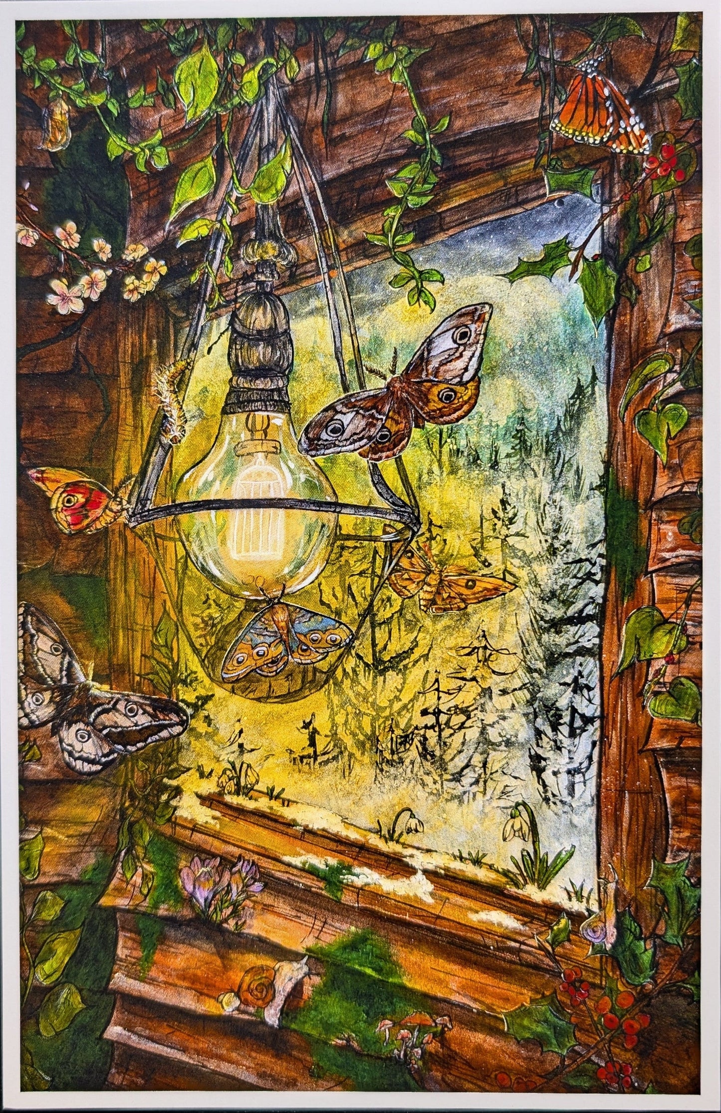 Hibernation Postcard Print