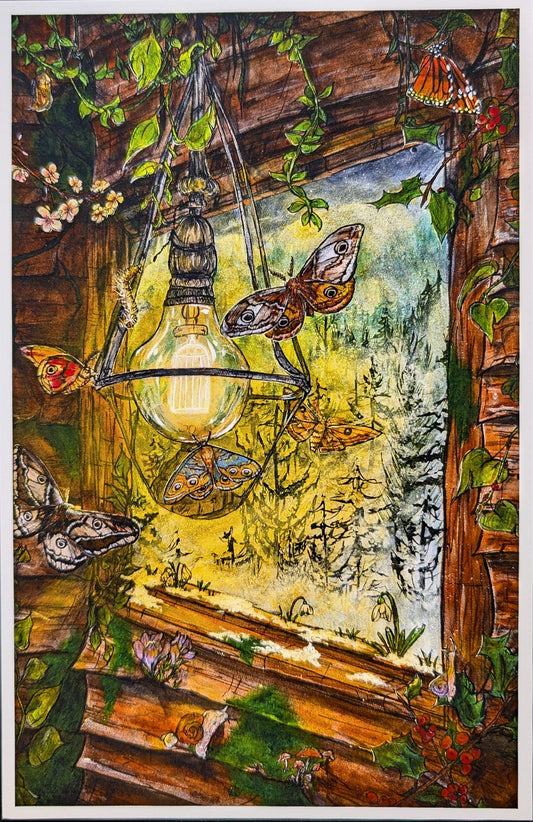 Hibernation Postcard Print