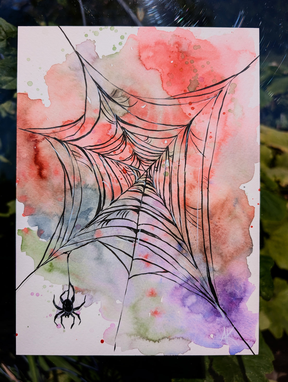 Miss Spider
