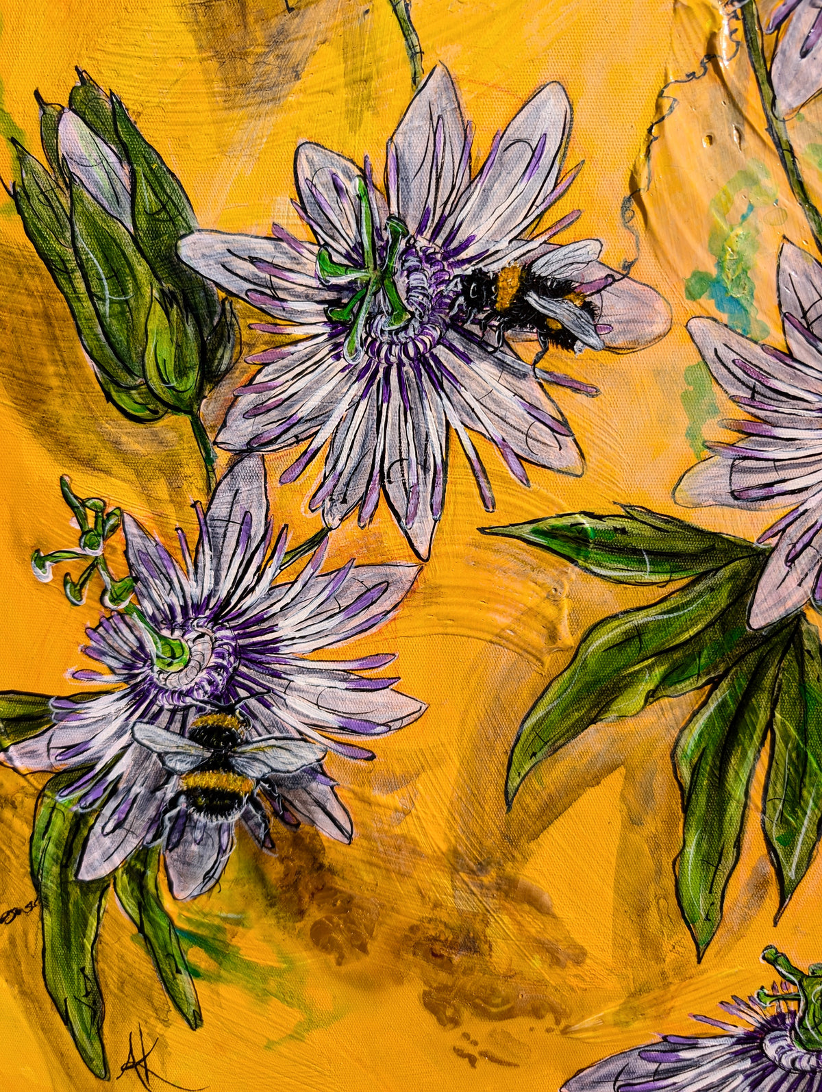 Passionflower Dream