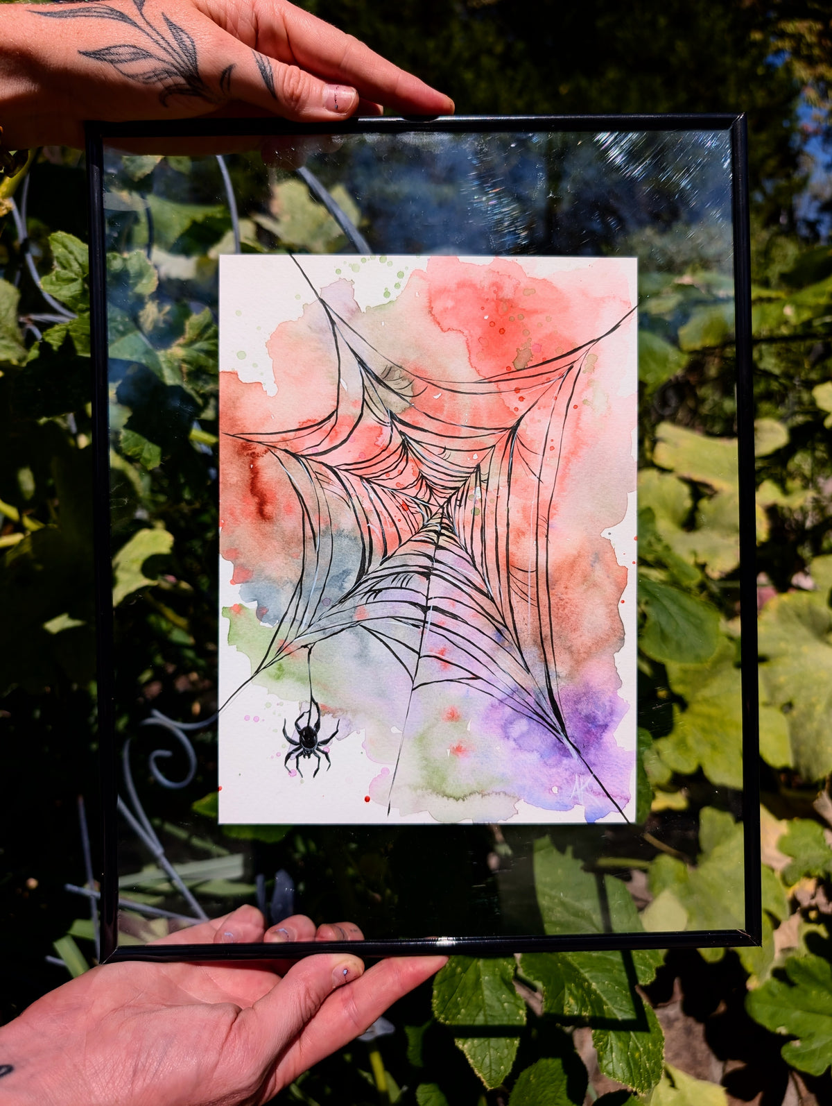 Miss Spider