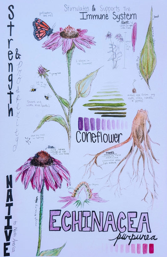 Flowers with Fae workshop